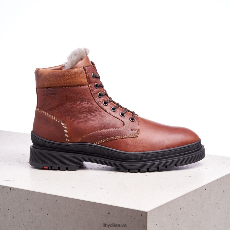 LLOYD holis vyrų avalynė rudas VF40PZ537