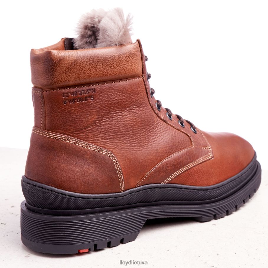 LLOYD holis vyrų avalynė rudas VF40PZ537