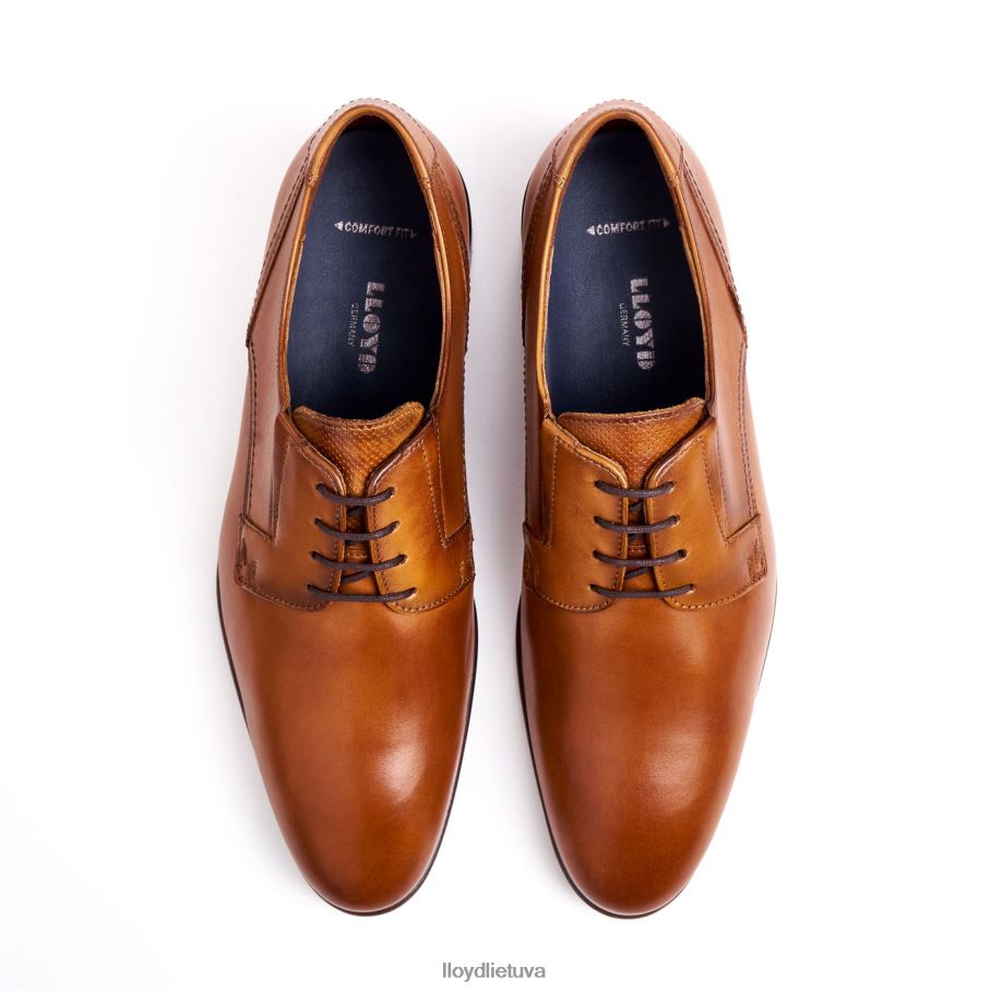 LLOYD išlaikyti vyrų avalynė rudas VF40PZ129