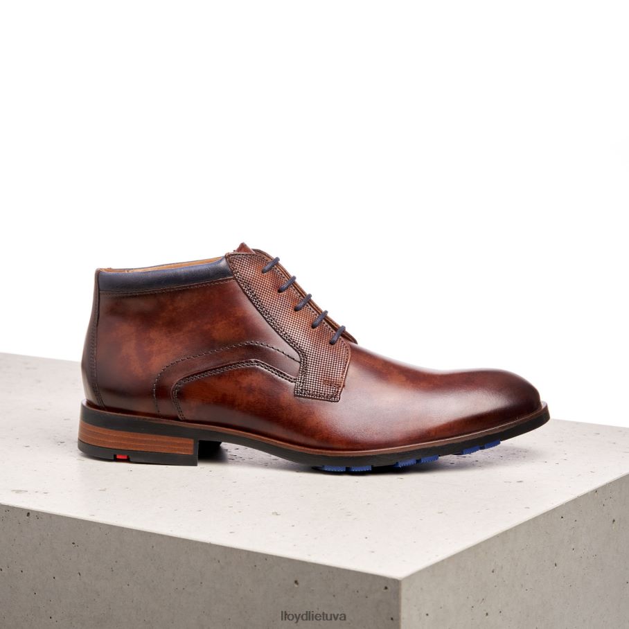 LLOYD jaronas vyrų avalynė rudas VF40PZ542