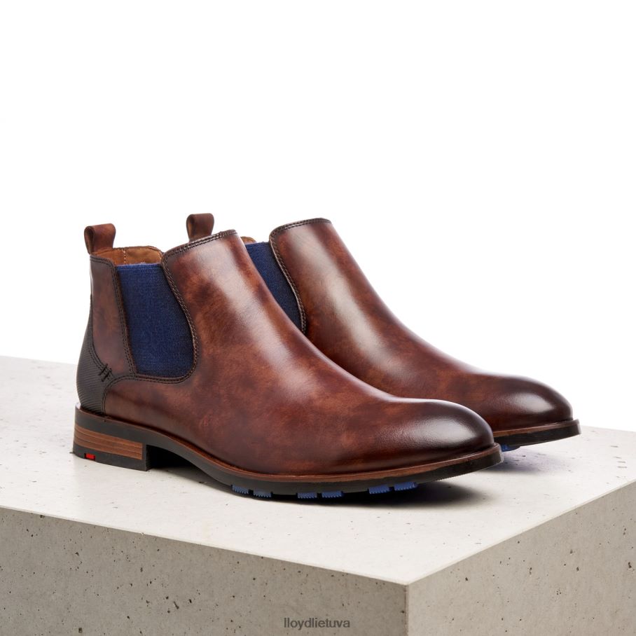 LLOYD jaseris vyrų avalynė rudas VF40PZ200