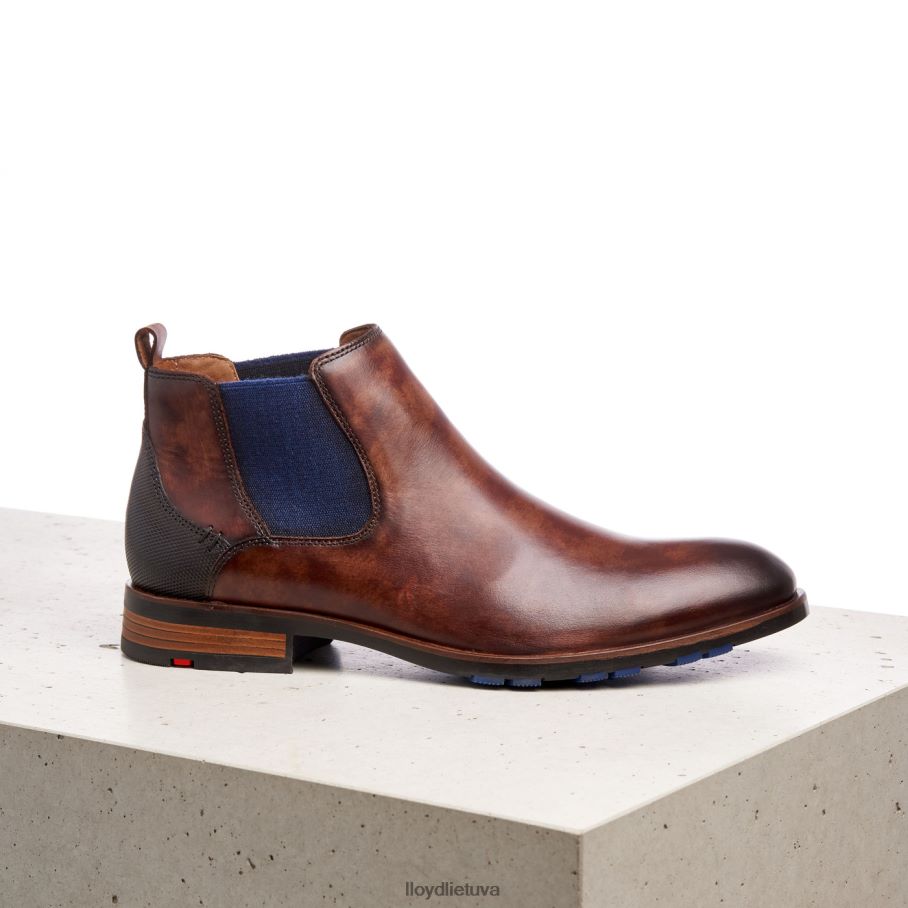 LLOYD jaseris vyrų avalynė rudas VF40PZ200