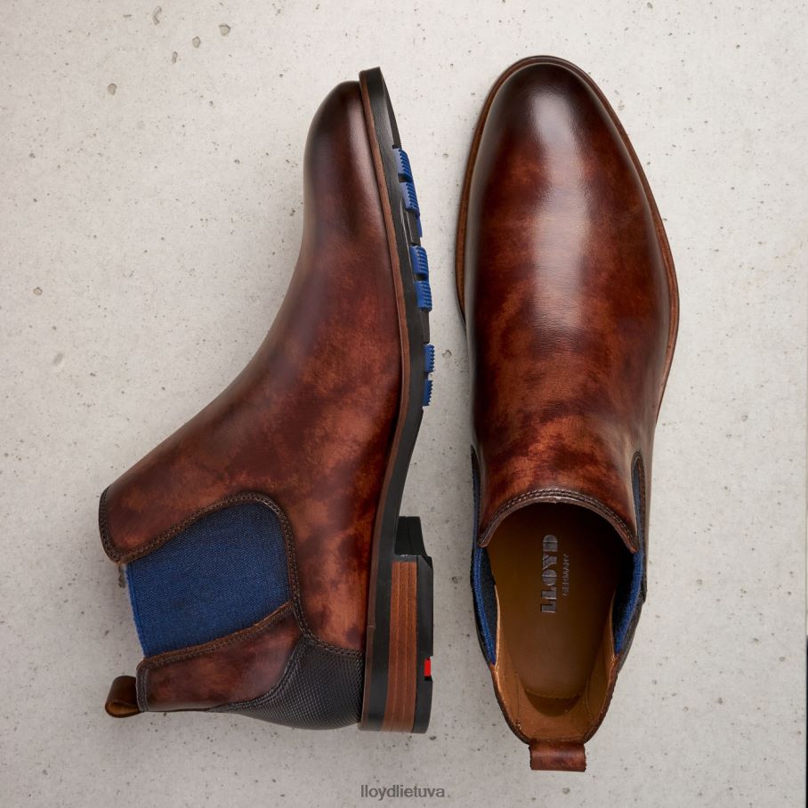 LLOYD jaseris vyrų avalynė rudas VF40PZ200