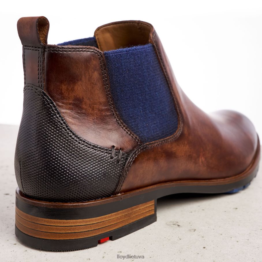 LLOYD jaseris vyrų avalynė rudas VF40PZ200