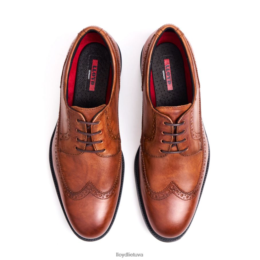 LLOYD kalebas (xtrawide) vyrų avalynė rudas VF40PZ20