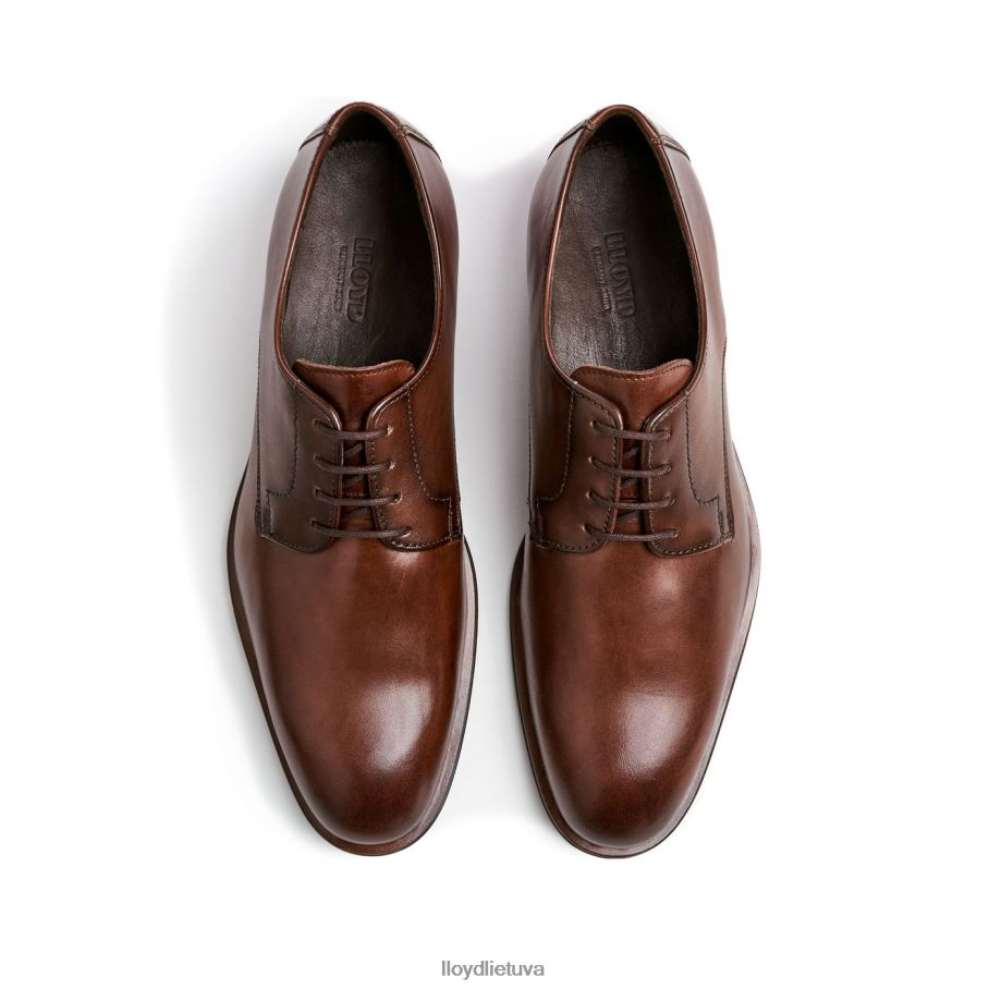 LLOYD kardas vyrų avalynė rudas VF40PZ2