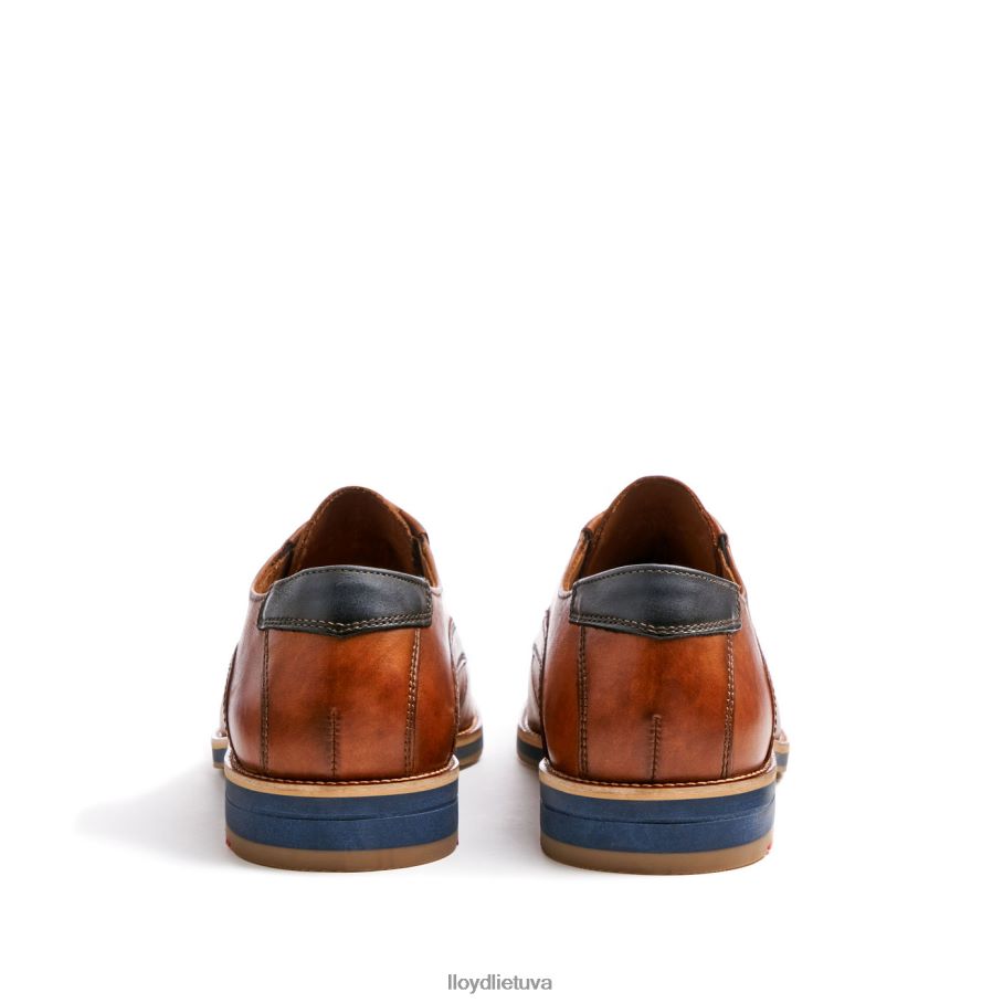 LLOYD kazanė (xtrawide) vyrų avalynė rudas VF40PZ110