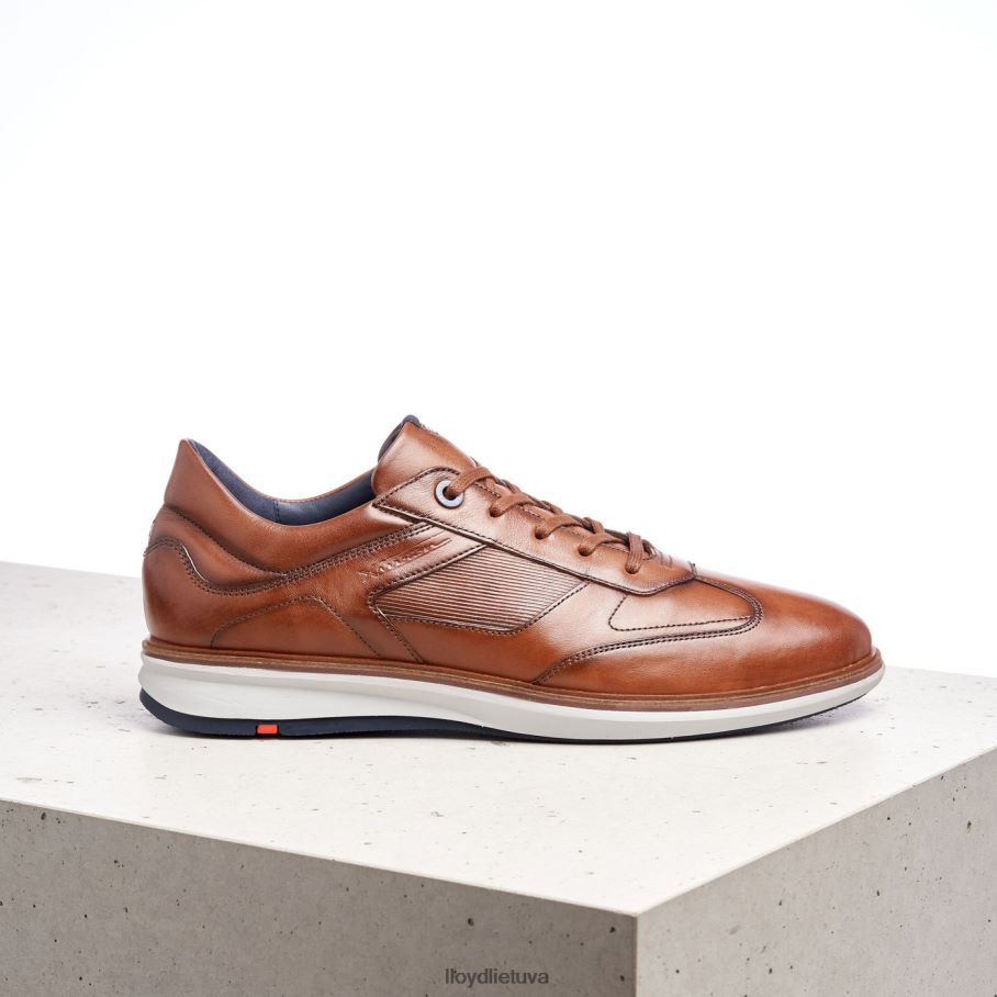 LLOYD kilimėliai vyrų avalynė rudas VF40PZ261