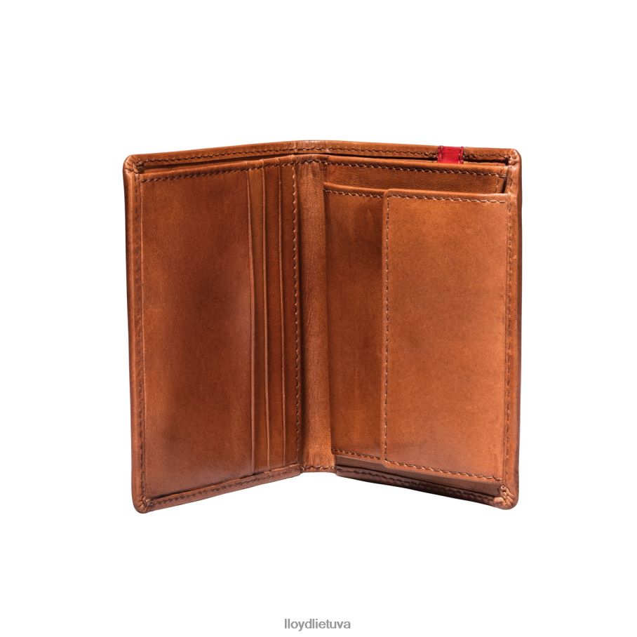 LLOYD kišenė vyrų priedai rudas VF40PZ656