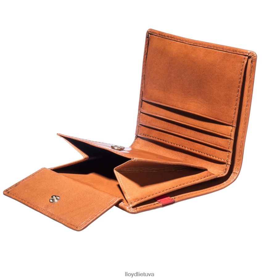 LLOYD kišenė vyrų priedai rudas VF40PZ656