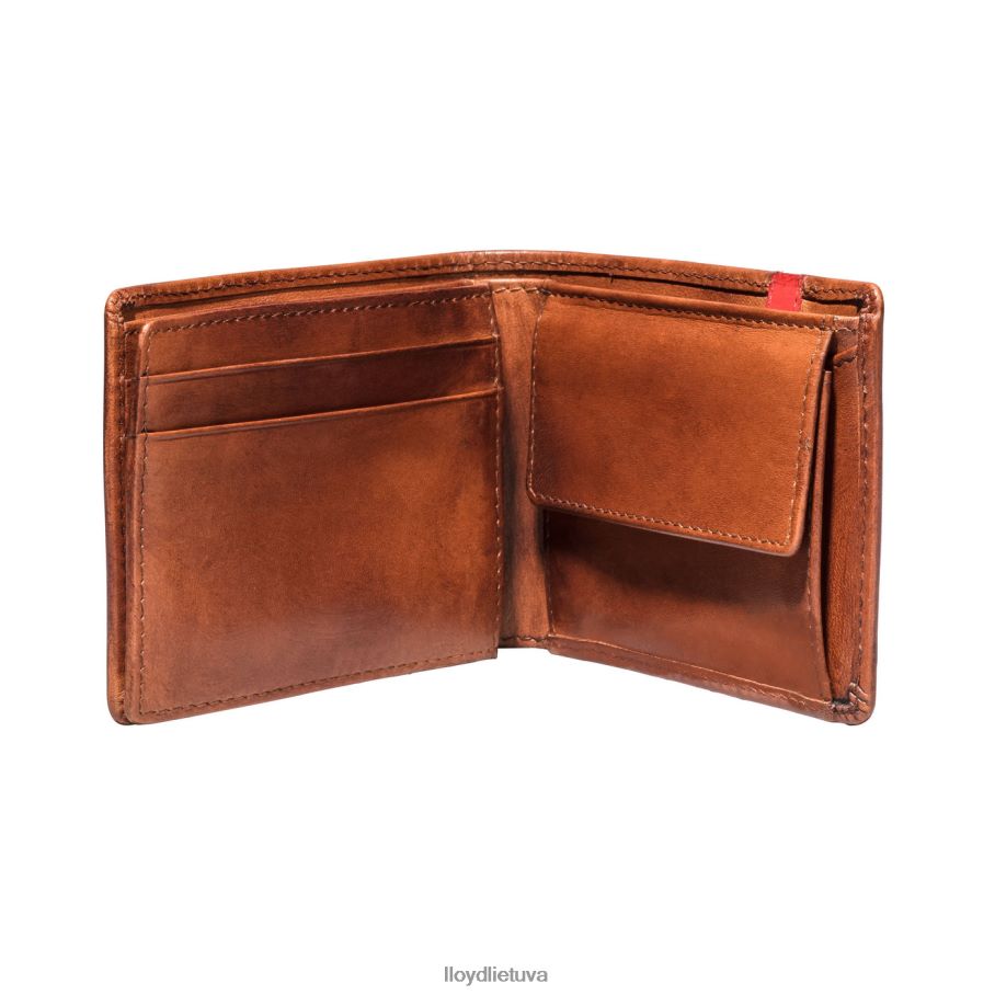 LLOYD kišenė vyrų priedai rudas VF40PZ677