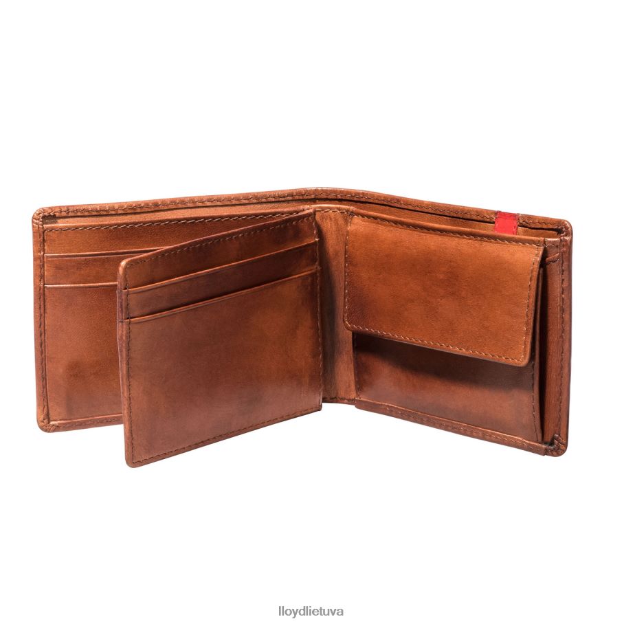 LLOYD kišenė vyrų priedai rudas VF40PZ677