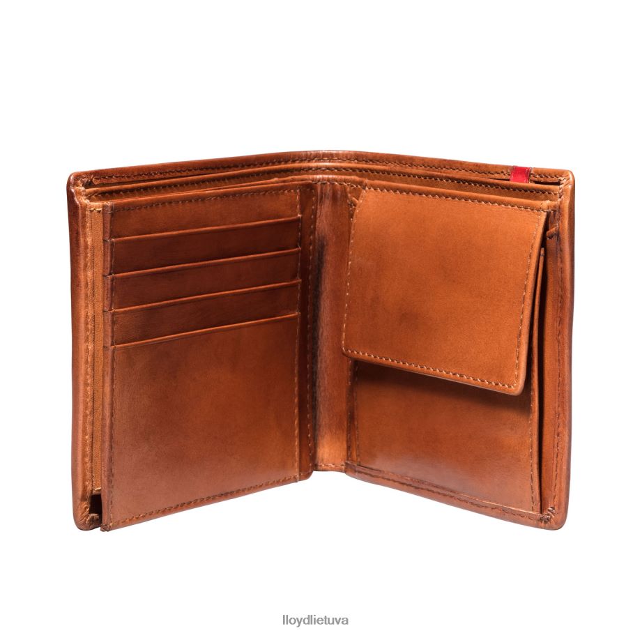 LLOYD kišenė vyrų priedai rudas VF40PZ680