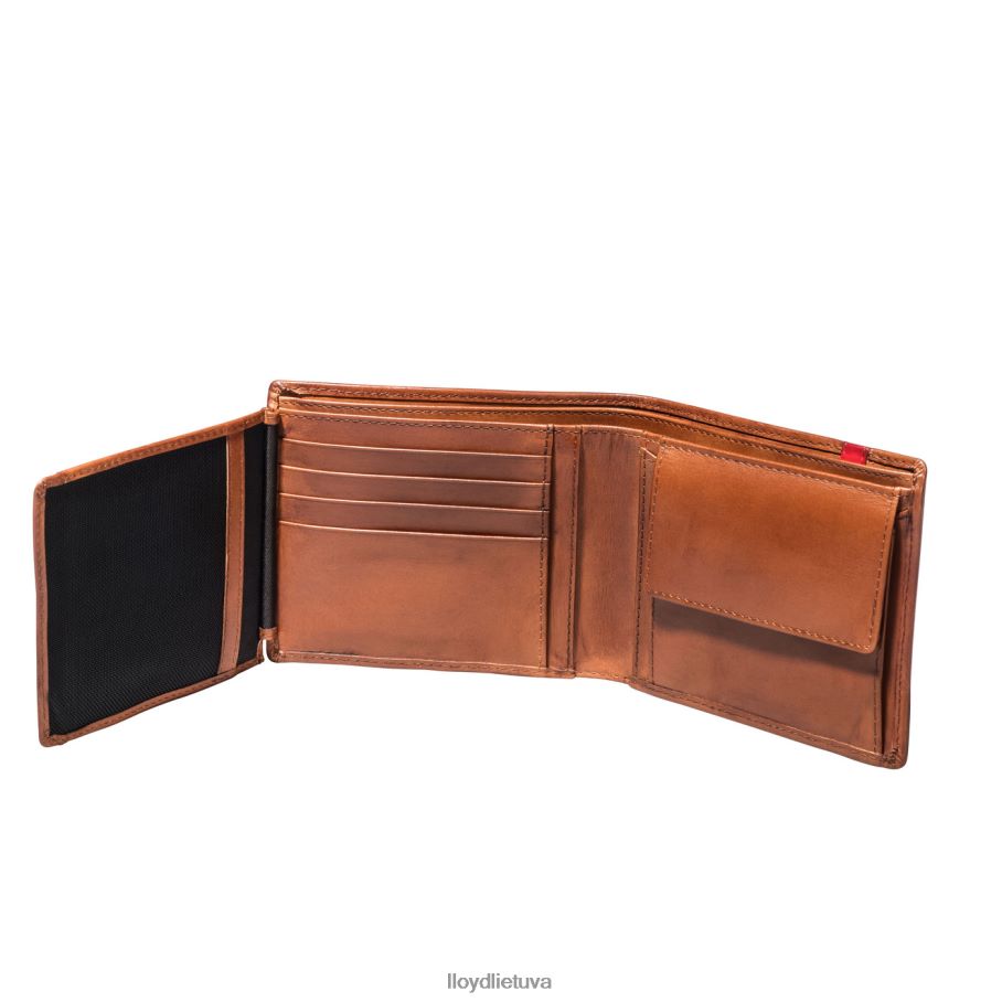 LLOYD kišenė vyrų priedai rudas VF40PZ680