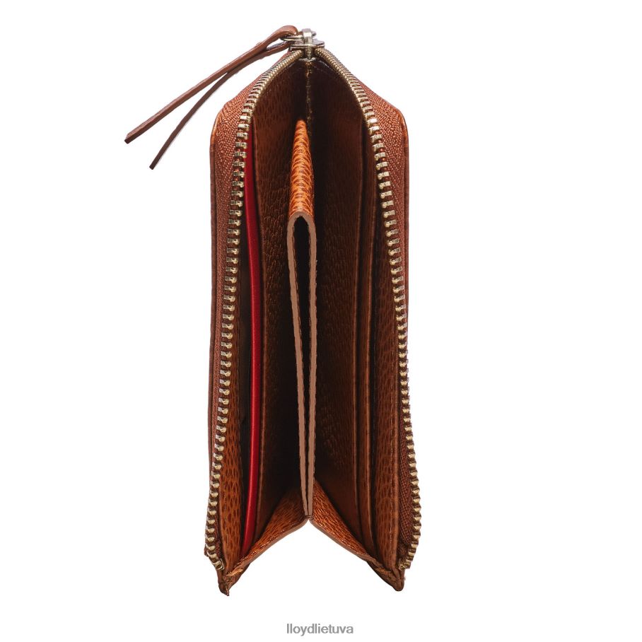 LLOYD kortelės turėtojas vyrų priedai rudas VF40PZ665