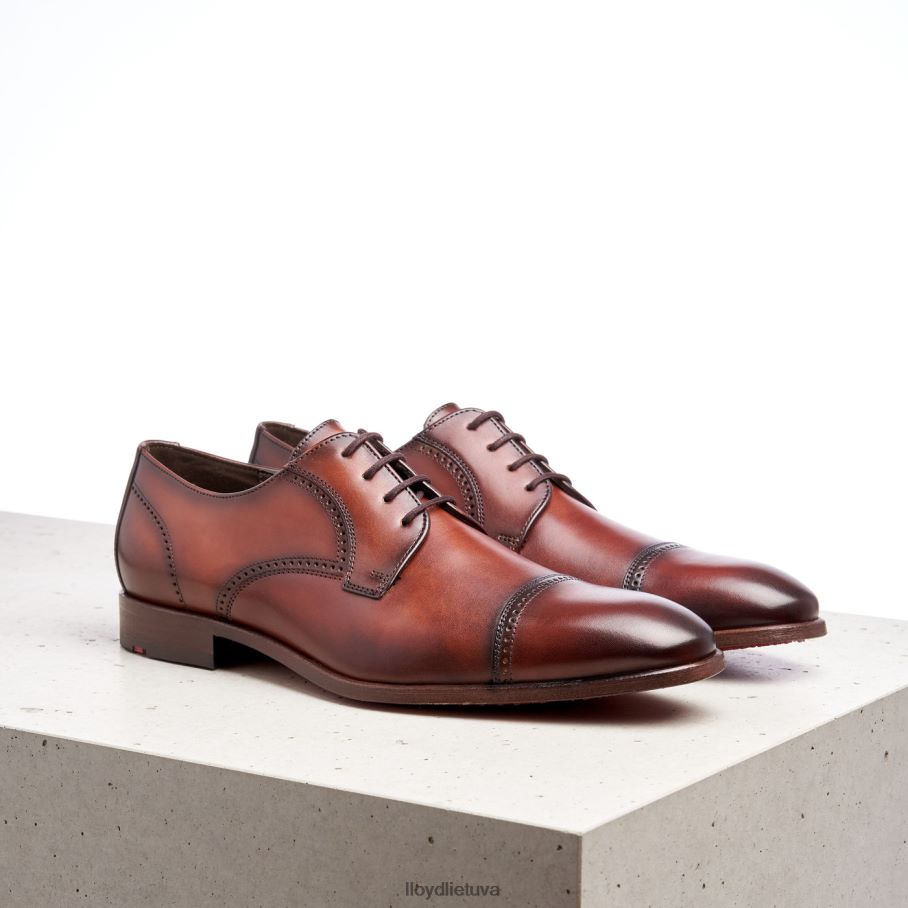 LLOYD kriaušė vyrų avalynė rudas VF40PZ177