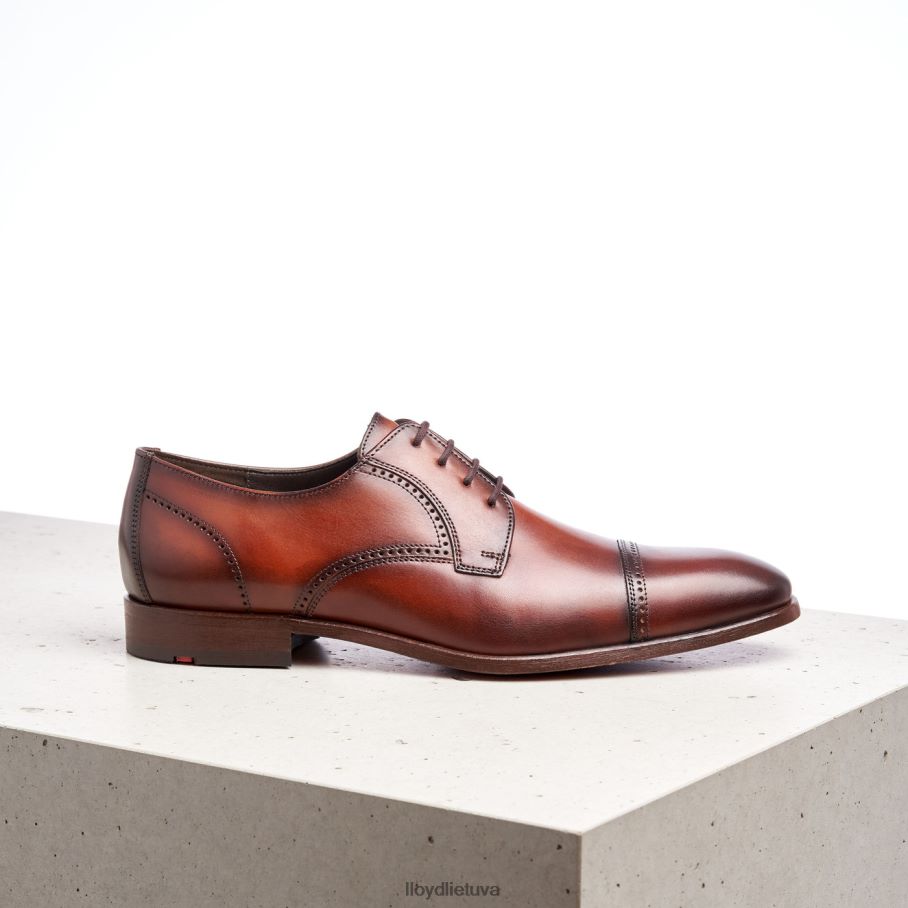 LLOYD kriaušė vyrų avalynė rudas VF40PZ177