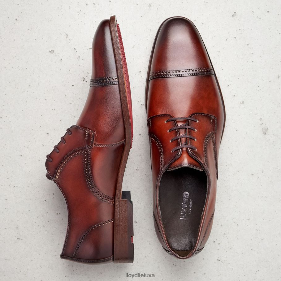 LLOYD kriaušė vyrų avalynė rudas VF40PZ177