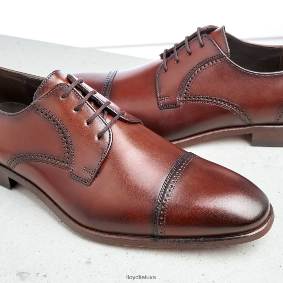 LLOYD kriaušė vyrų avalynė rudas VF40PZ177