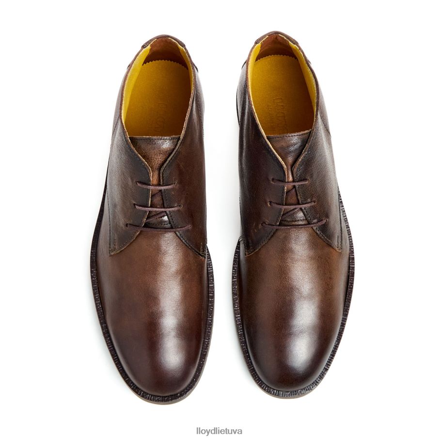 LLOYD kunigaikštis vyrų avalynė rudas VF40PZ43