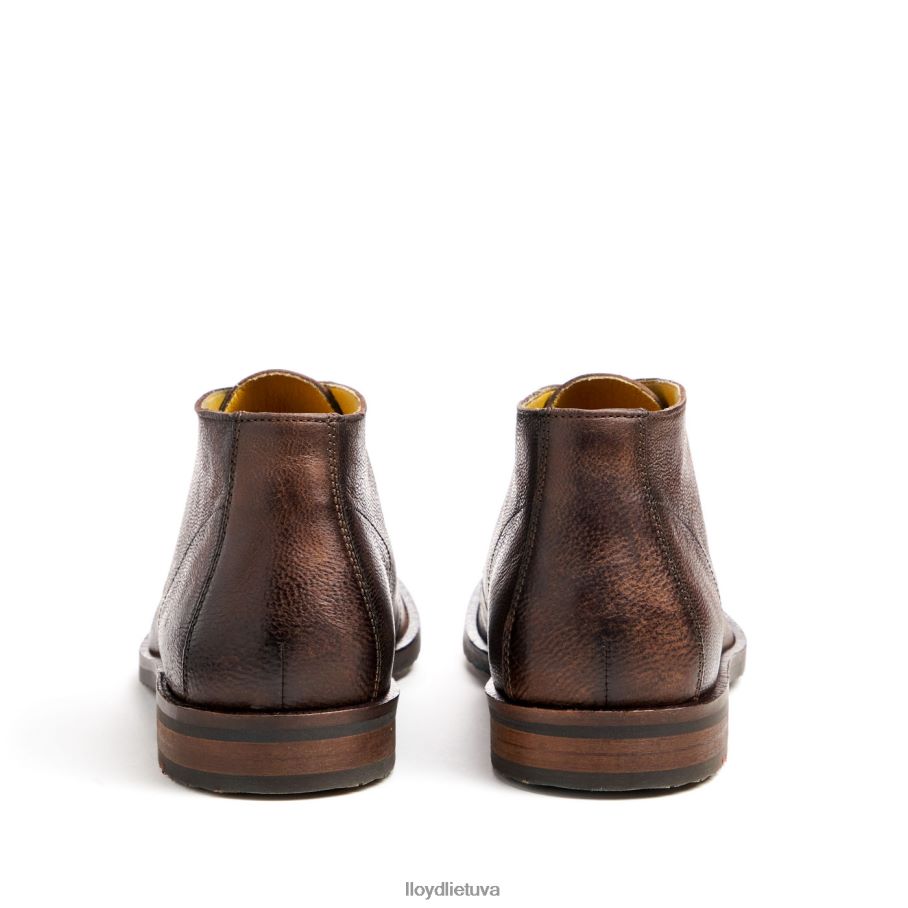 LLOYD kunigaikštis vyrų avalynė rudas VF40PZ43