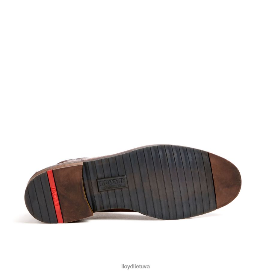 LLOYD kunigaikštis vyrų avalynė rudas VF40PZ43