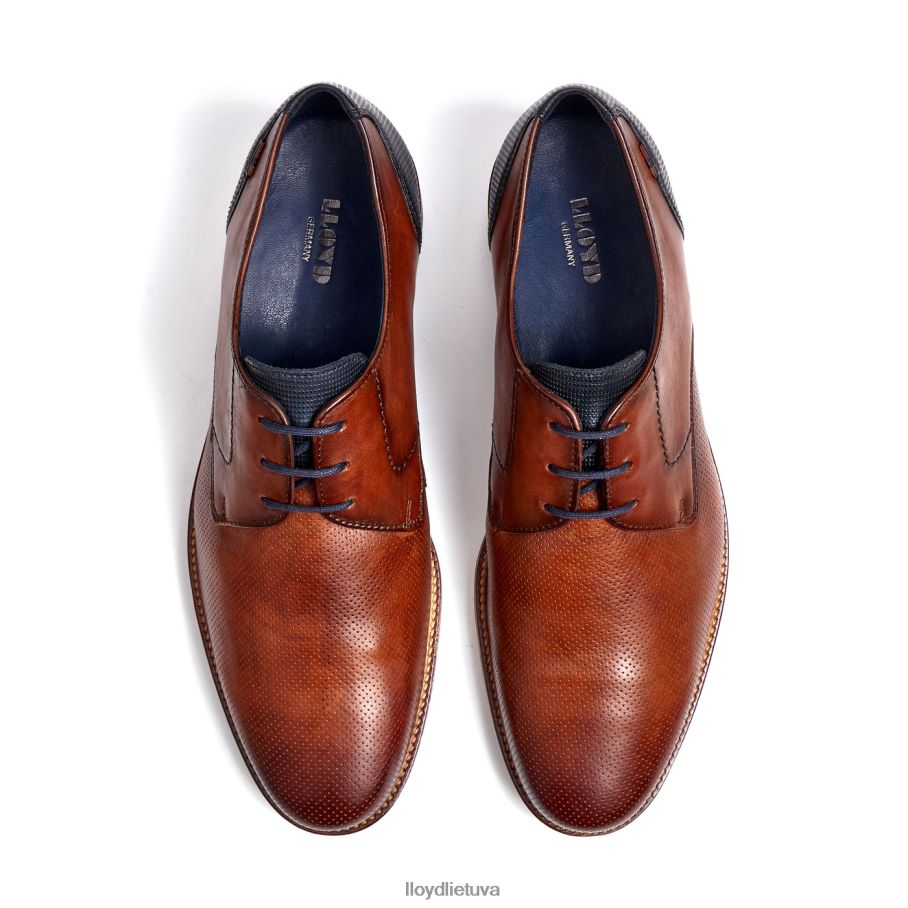 LLOYD lagosas vyrų avalynė rudas VF40PZ105