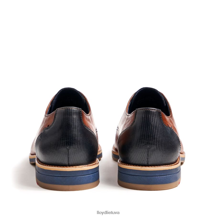 LLOYD lagosas vyrų avalynė rudas VF40PZ105