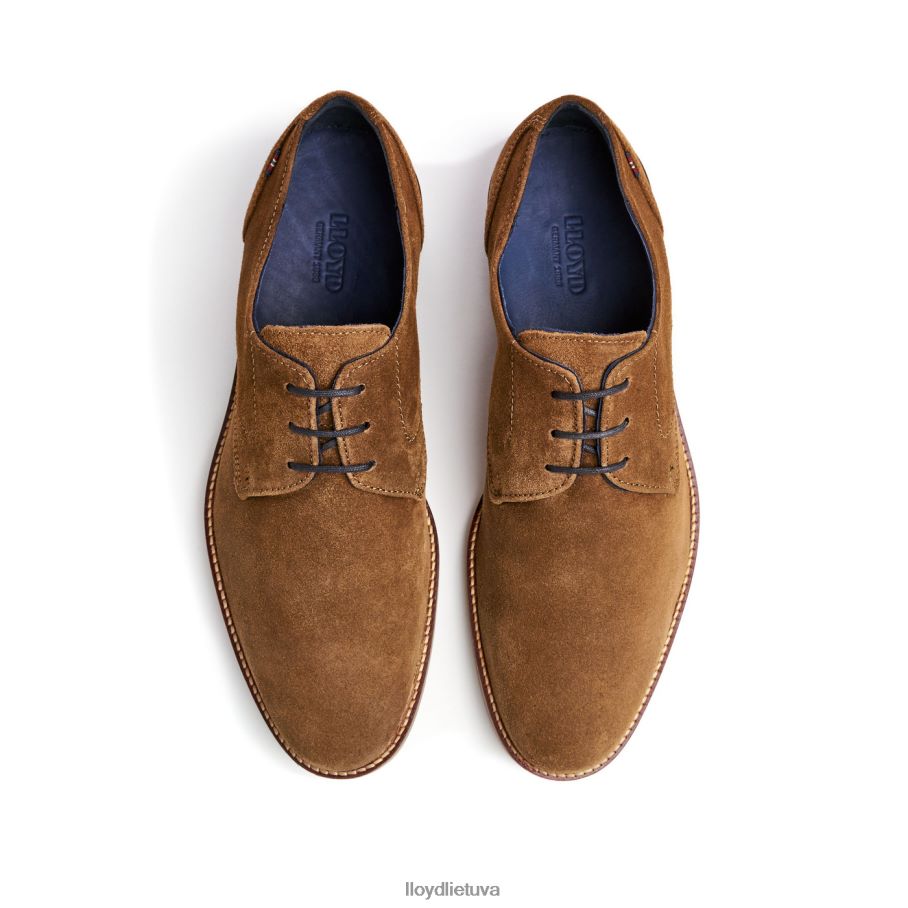 LLOYD langstonas vyrų avalynė rudas VF40PZ88