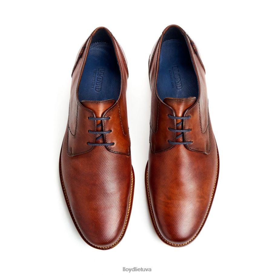 LLOYD lavalas vyrų avalynė rudas VF40PZ41