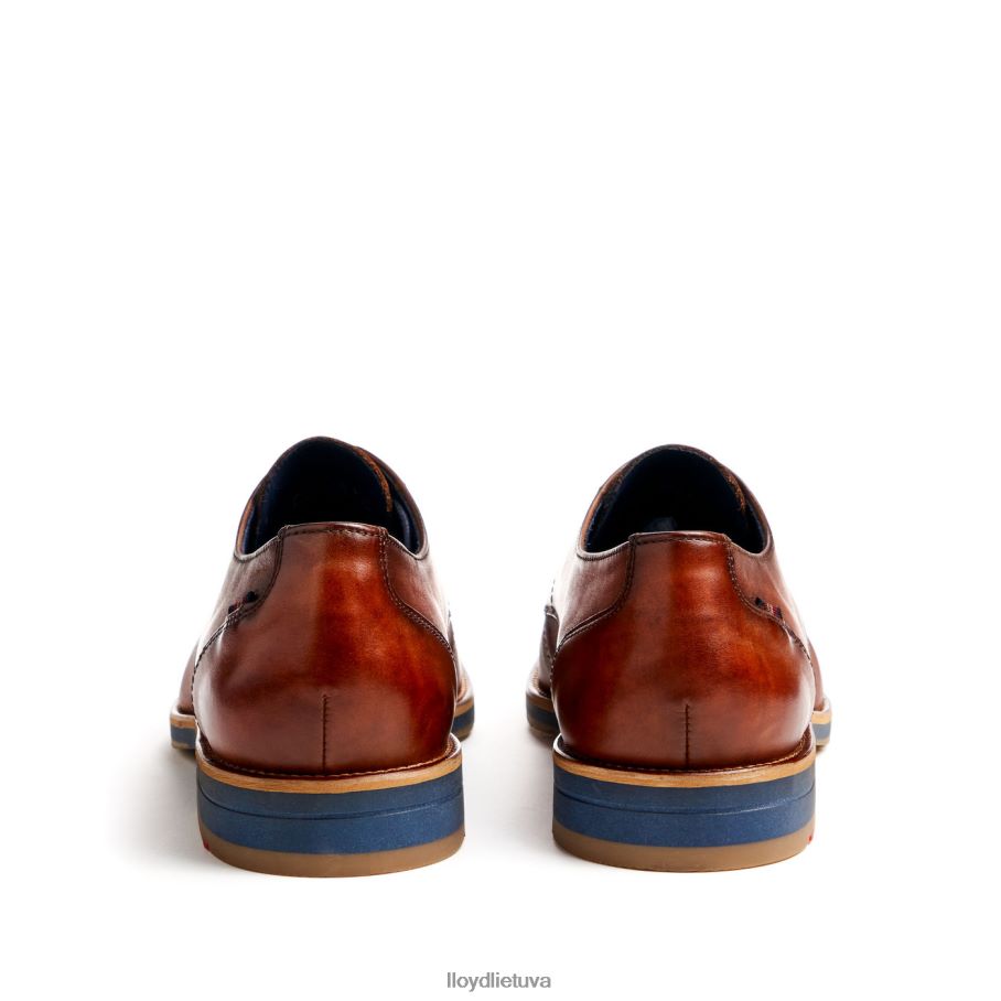 LLOYD lavalas vyrų avalynė rudas VF40PZ41