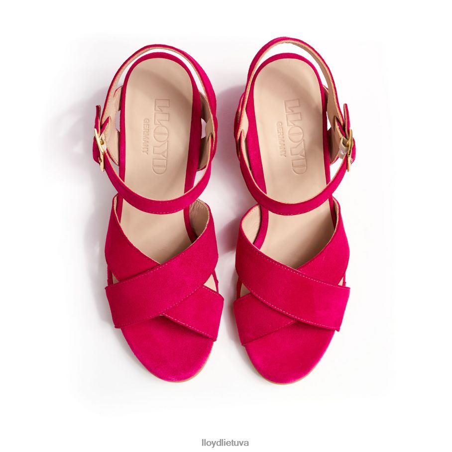 LLOYD lengvi sandalai moterys avalynė rožinis VF40PZ1162