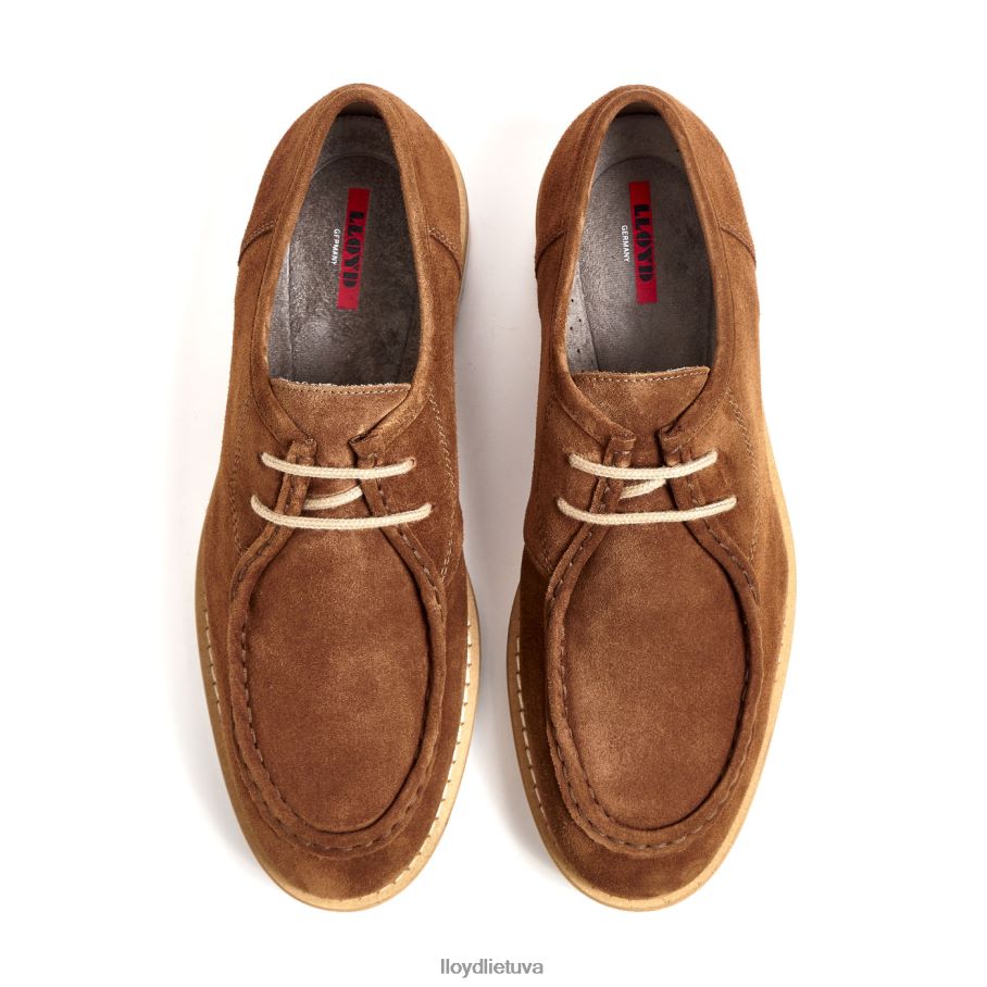 LLOYD levi vyrų avalynė rudas VF40PZ210