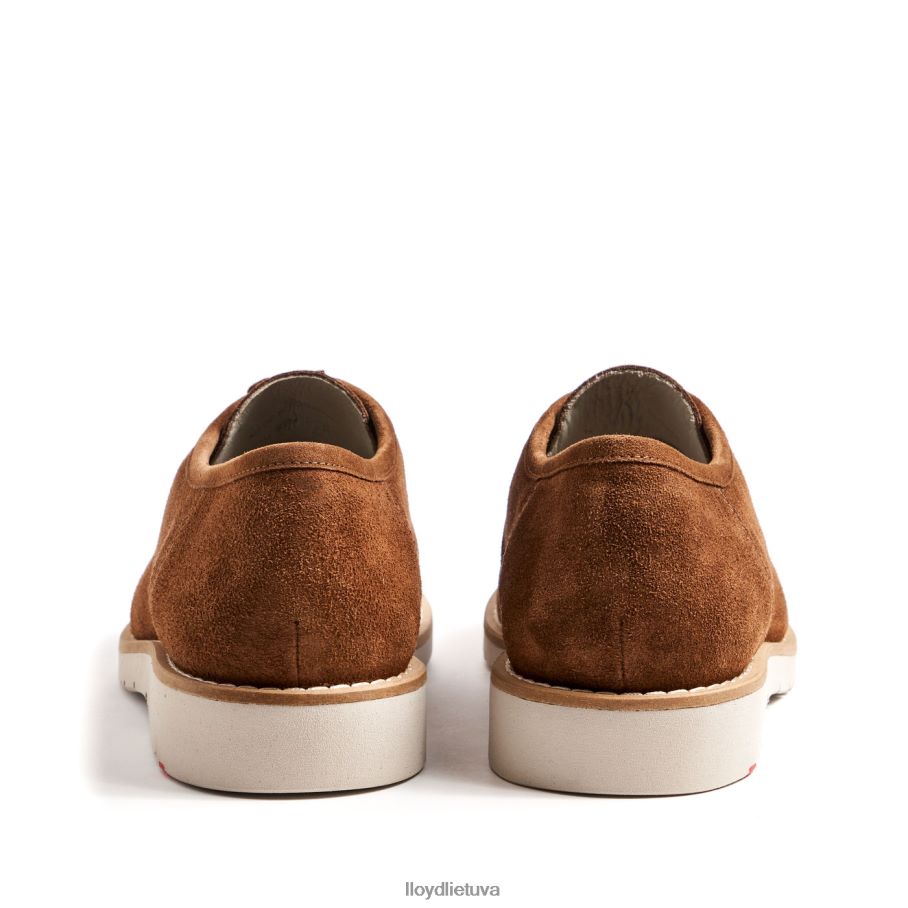 LLOYD levi vyrų avalynė rudas VF40PZ210