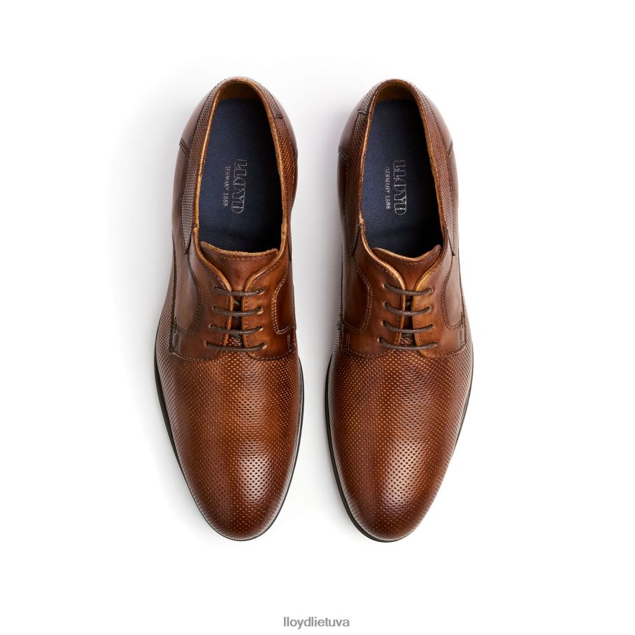 LLOYD levinas vyrų avalynė rudas VF40PZ87