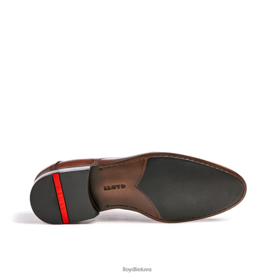 LLOYD levinas vyrų avalynė rudas VF40PZ87