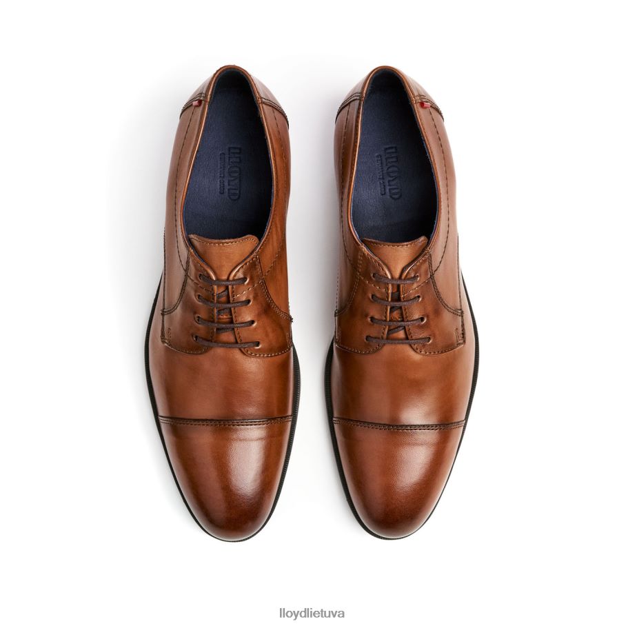 LLOYD lias vyrų avalynė rudas VF40PZ24