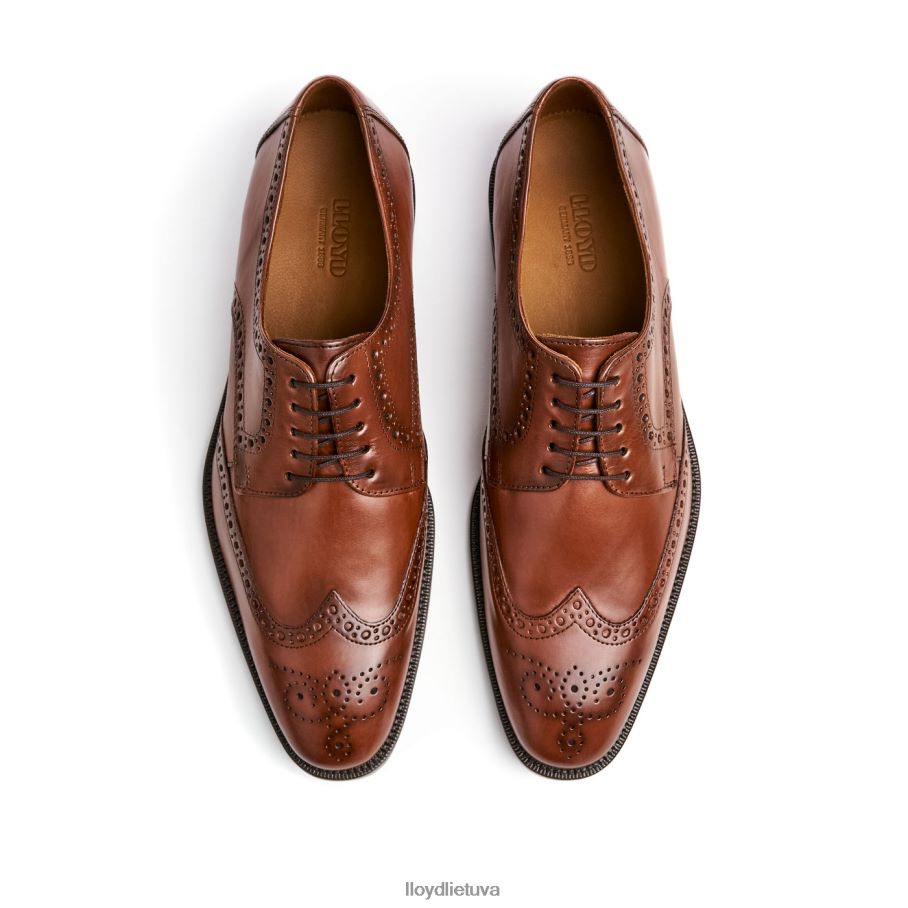 LLOYD lucien vyrų avalynė rudas VF40PZ574