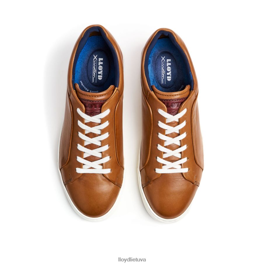 LLOYD majuro vyrų avalynė rudas VF40PZ258