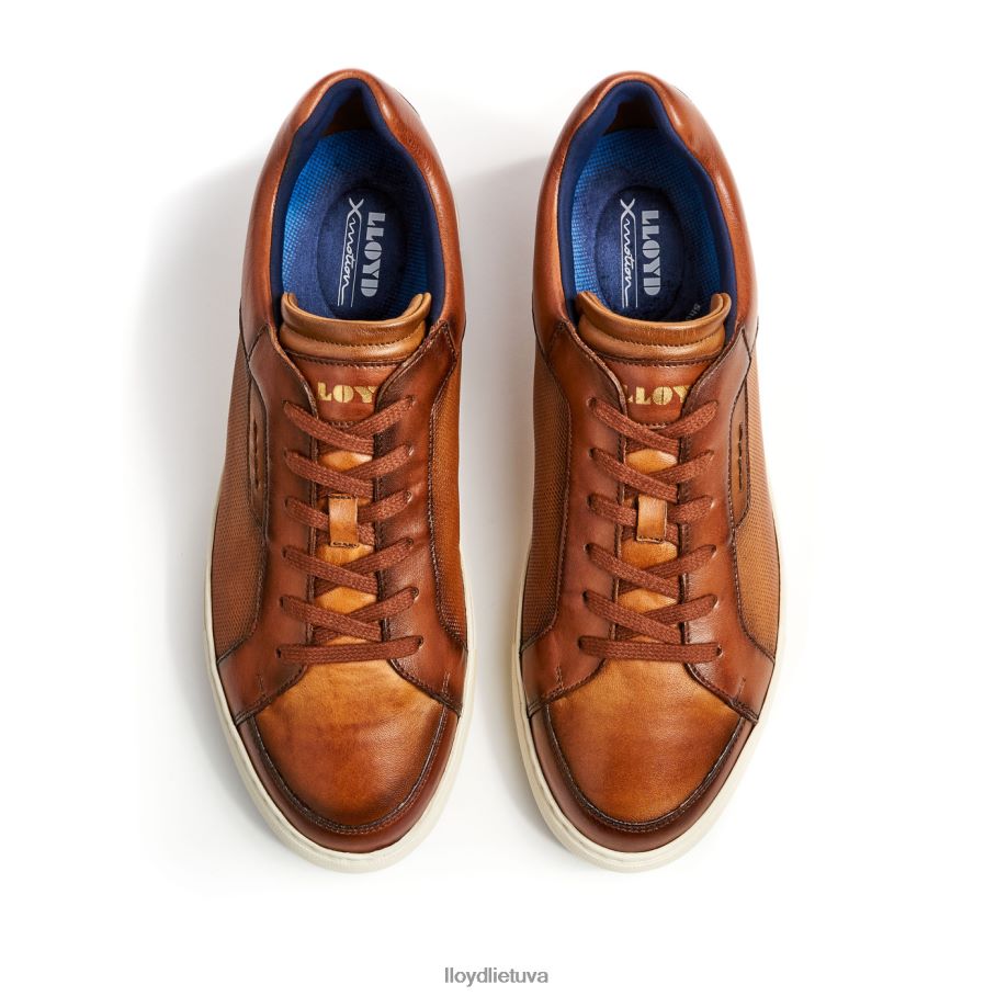 LLOYD malaga vyrų avalynė rudas VF40PZ1327