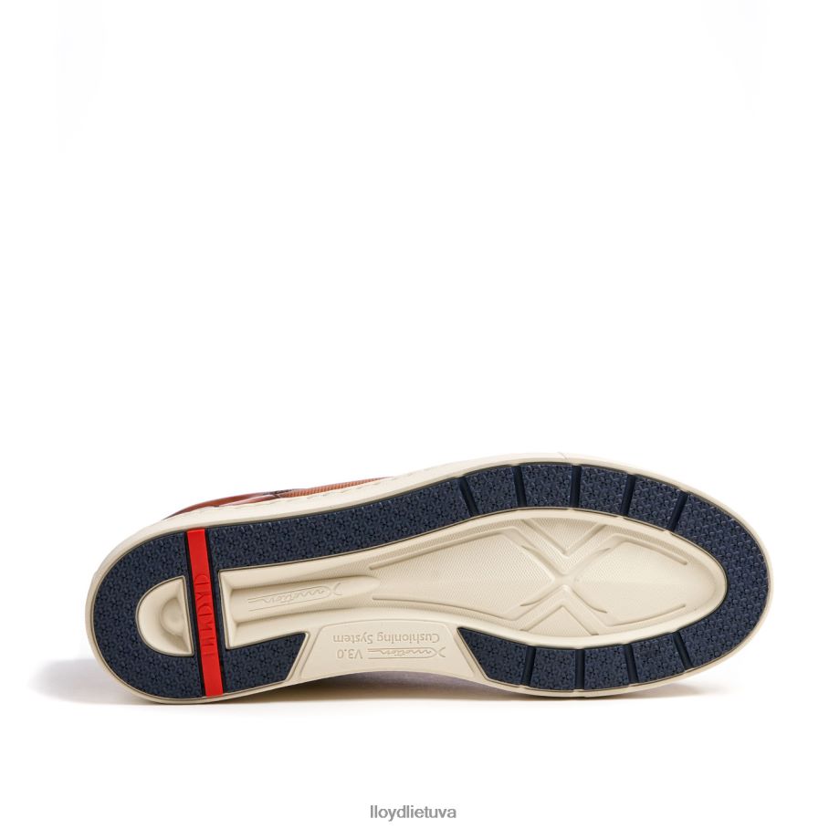 LLOYD malaga vyrų avalynė rudas VF40PZ1327