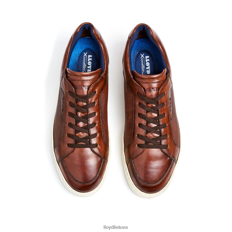 LLOYD malaga vyrų avalynė rudas VF40PZ249