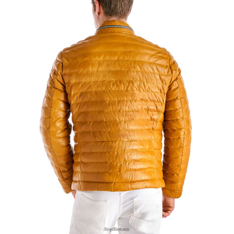 LLOYD malio vyrų apranga geltona VF40PZ635