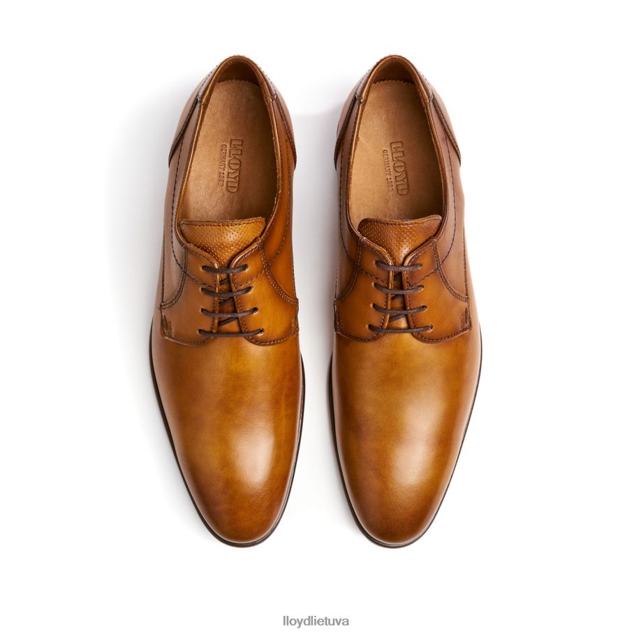 LLOYD manon vyrų avalynė rudas VF40PZ118