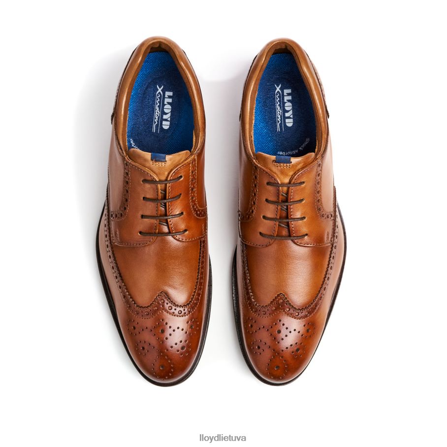 LLOYD marianas vyrų avalynė rudas VF40PZ141