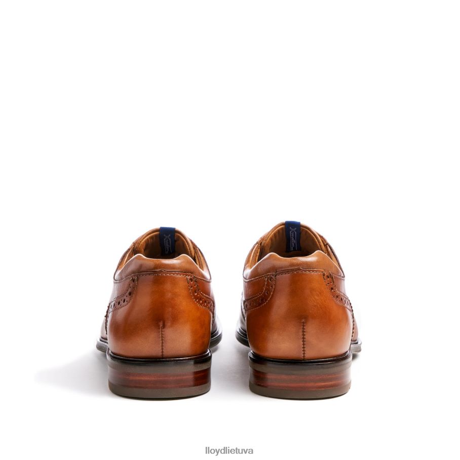 LLOYD marianas vyrų avalynė rudas VF40PZ141