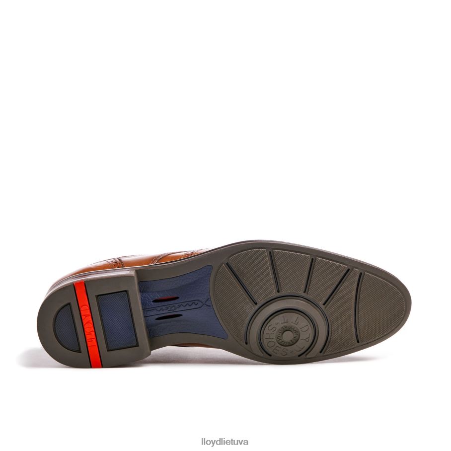 LLOYD marianas vyrų avalynė rudas VF40PZ141