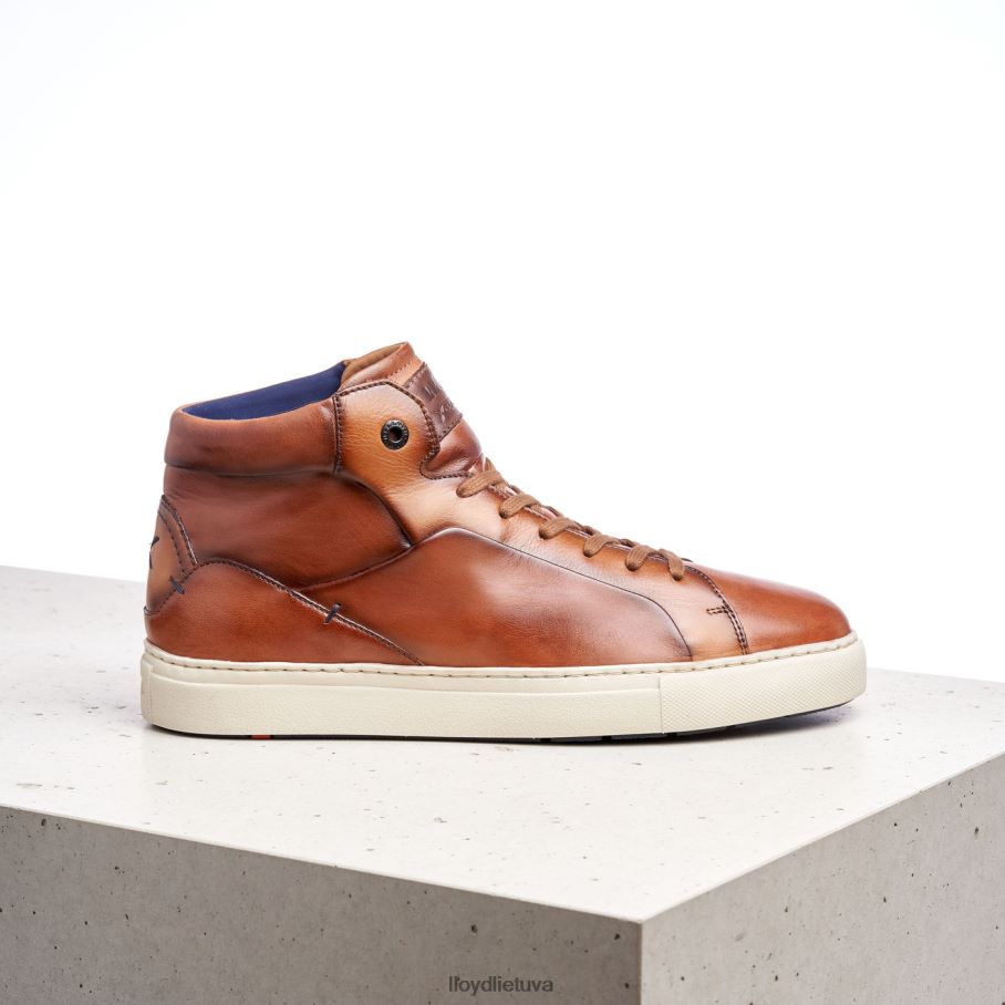 LLOYD maršalka vyrų avalynė rudas VF40PZ254