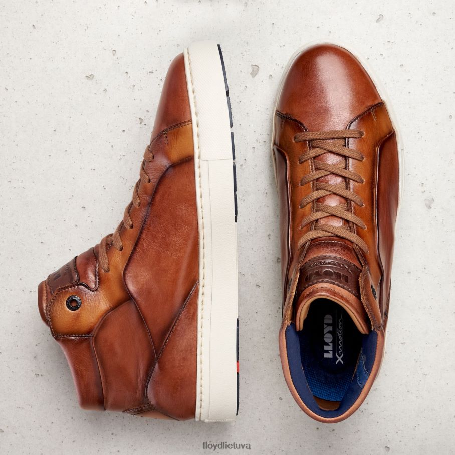 LLOYD maršalka vyrų avalynė rudas VF40PZ254