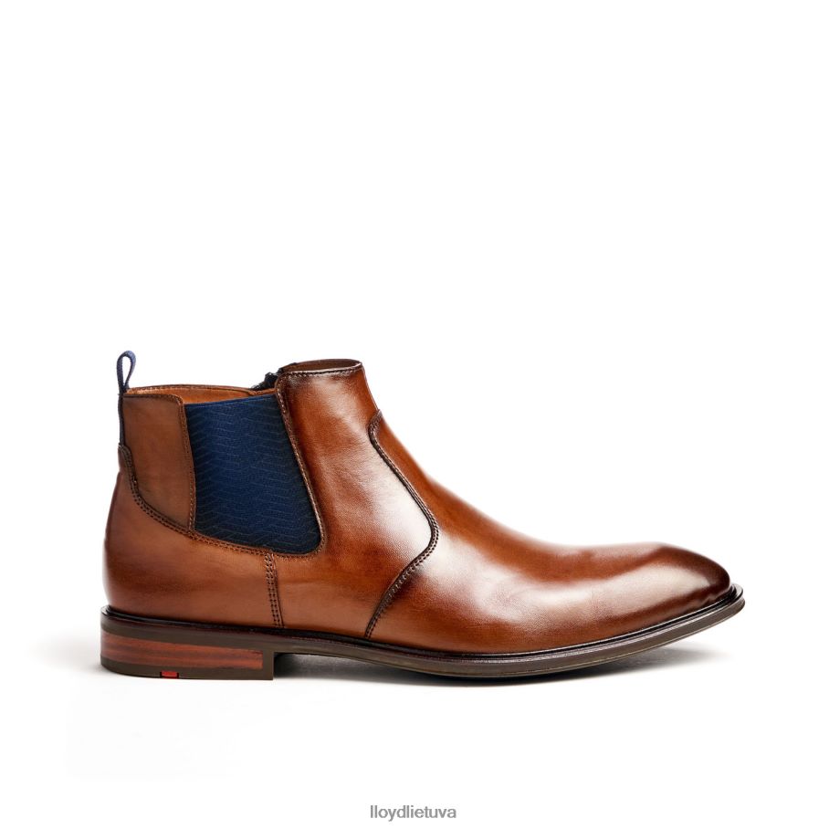 LLOYD matinis vyrų avalynė rudas VF40PZ12